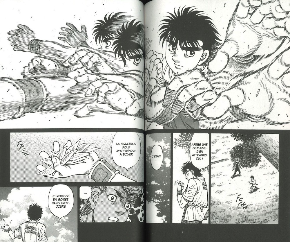 Ippo-14-00003_1000x833.jpg