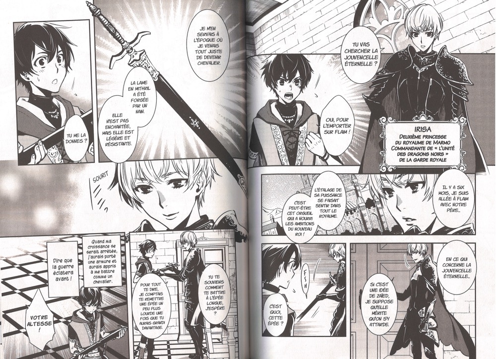 Lodoss-01-00001_1000x724.jpg