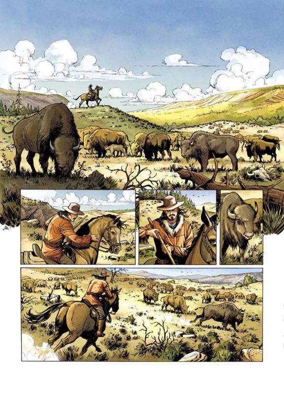 buffalo_image.jpg