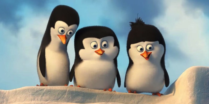 Pingouin_700x350.jpg.jpg